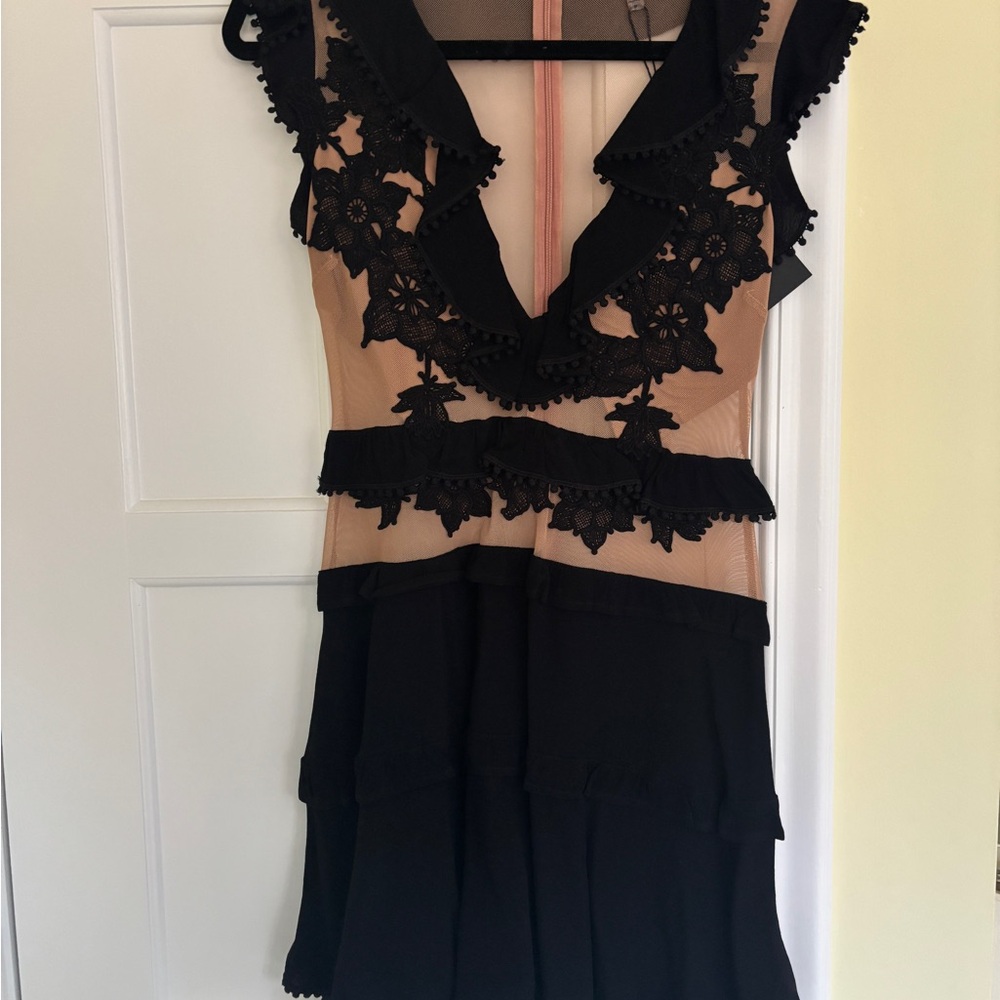 For Love And Lemons Original Sheer Lace Dress